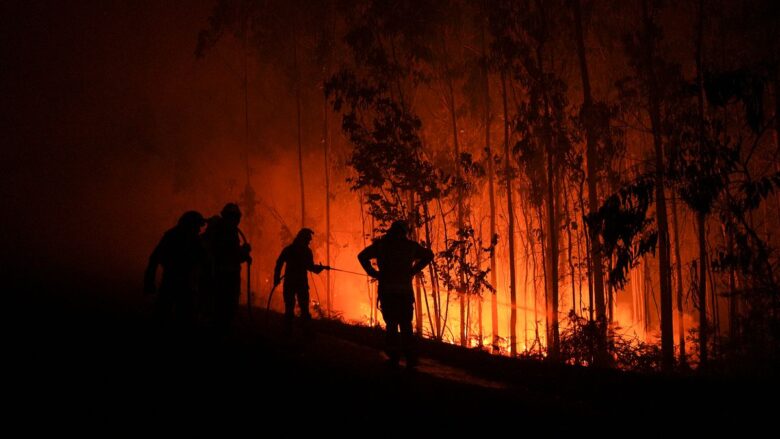 Investing in a climate crisis: Are cat bonds a win for your portfolio?